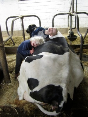 cow and kids in stall