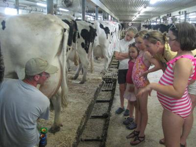 Girl Scouts milking cows