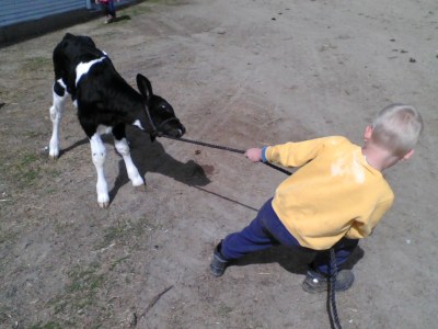 Dan and Bonita's first lesson in showmanship